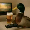 eysysuwj3n2jwi