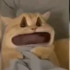 xxxchamcom