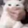 djhsbdbd0