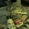 izziestinga