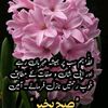naqee.jan0