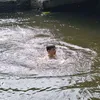 antoinecrl21