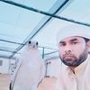 shaoqat.khan17
