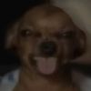 benito_648