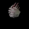 xo._il7