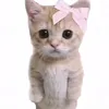 capcut_templay_editor
