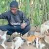 shaif.cats.rescue