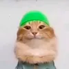 s._frp2