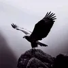 user1210617177504