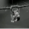 alialkhafagi679