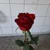 imani3256