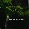 user1184079044054