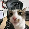 sankxtech