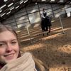 equi.dummies5