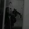 ampar_b.l