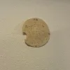 quack_12344