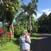 njlasyg