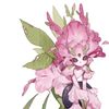 user9933816243170