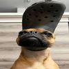 reezi7_