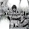 Timford Titor