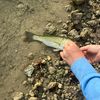 fishingisbest99