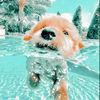 hello_24877