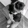 angel.__052