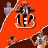 bengals_fan8
