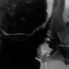 .kauzxra