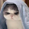 salira.id