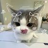 lexi.haines57