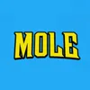 themoleoftabor