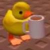 the.ducks53