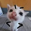 editbytanu