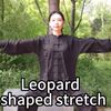 Taichi Kungfu