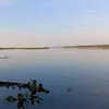 lihuel.molaro7