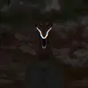 the_smile_invasion