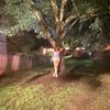 embree80