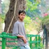 ayushbadaila011