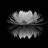 phanthien012