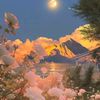 user425161rajput3