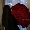 olesea478