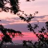 jan_amor_bonito