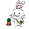 bunnyaff6