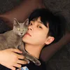 丞磊