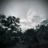 minhhieu26101