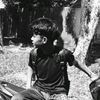 lyaaa_210
