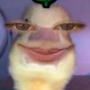 sifvaa_