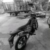 denisalif5