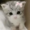 cute_coco13